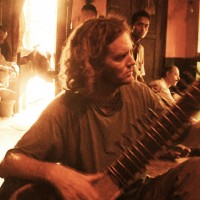 sitar cow