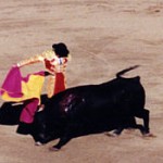 Spain bullfight